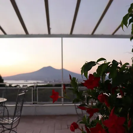 Paradiso Hotel 4*
